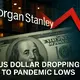 Morgan Stanley Predicts US Dollar Drop to Pandemic Lows