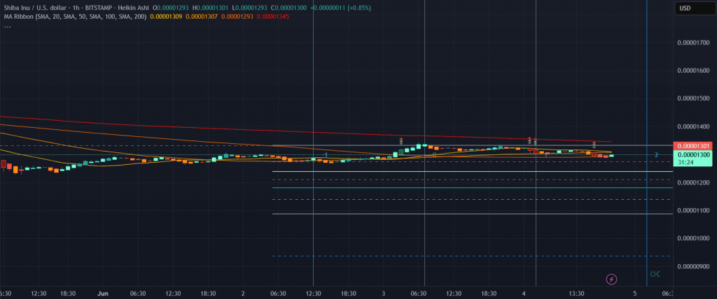 hourly chart reveals SHIB holding strong in the $0.00001290 to $0.00001310 zone