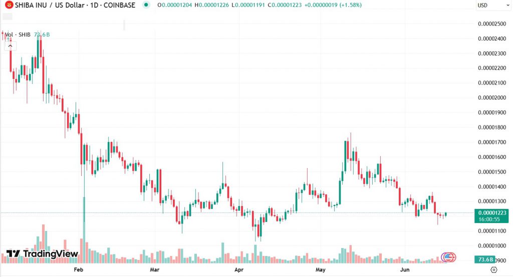 Shiba Inu SHIB Support and Resistance Level