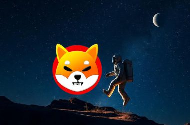 shiba inu rocket