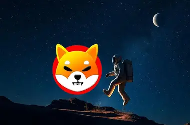 shiba inu rocket