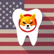 usa dental supply accepts shiba inu payments orthodonist amore smiles