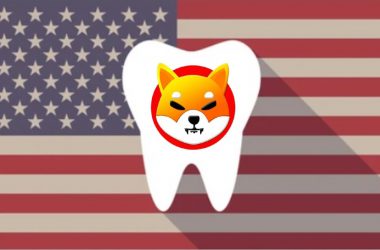usa dental supply accepts shiba inu payments orthodonist amore smiles