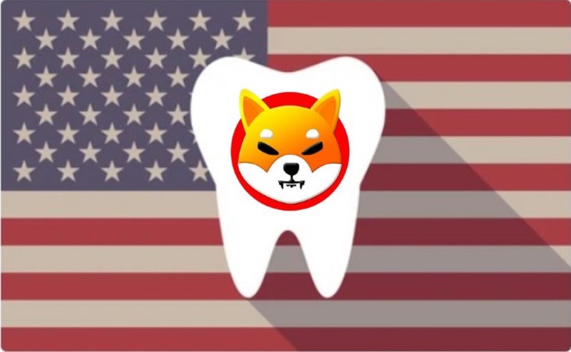 usa dental supply accepts shiba inu payments orthodonist amore smiles