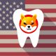 usa dental supply accepts shiba inu payments orthodonist amore smiles