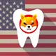 usa dental supply accepts shiba inu payments orthodonist amore smiles