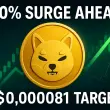 Shiba Inu All Time High Near