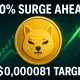 Shiba Inu All Time High Near