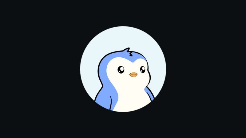 🟨CRYPTO REPORT: "Ultime Occasioni di Investimento: PENGU, MAGACOIN FINANCE e BONK Prima della Crescita di Agosto"