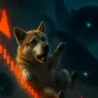 Shiba Inu falling with whales