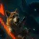 Shiba Inu falling with whales