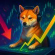 Shiba Inu trader headset