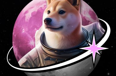 Moondoge