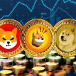 Shiba Inu SHIB Dogecoin BONK DOGE