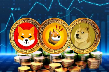 Shiba Inu SHIB Dogecoin BONK DOGE