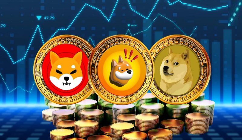 Shiba Inu SHIB Dogecoin BONK DOGE