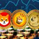 Shiba Inu SHIB Dogecoin BONK DOGE