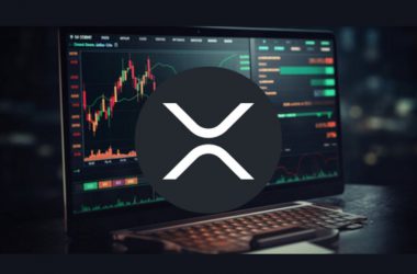 XRP's Price Rally Could Trigger Massive Short Squeeze, Analyst Warns