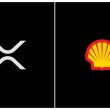 Ripple XRP Shell Oil