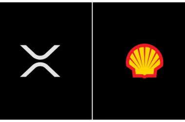 Ripple XRP Shell Oil