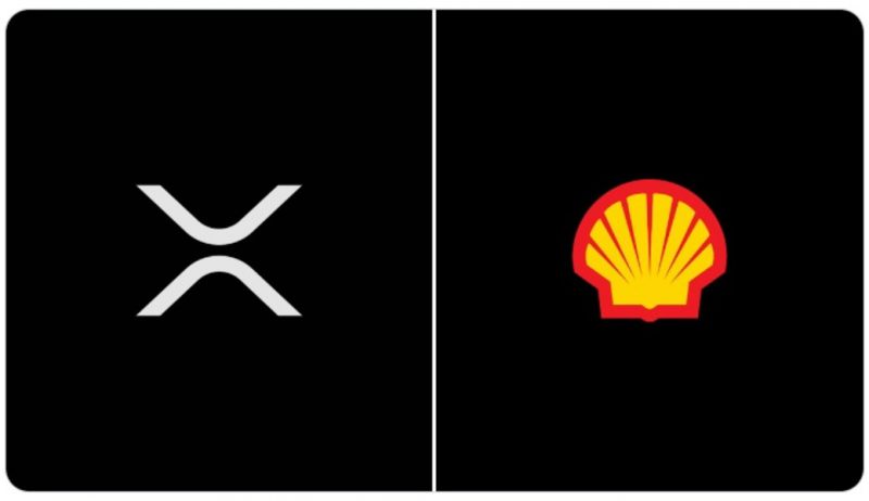 Ripple XRP Shell Oil