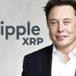 Elon Musk's AI Makes Bold Price Prediction
