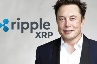 Elon Musk's AI Makes Bold Price Prediction