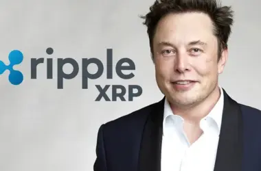 Elon Musk's AI Makes Bold Price Prediction