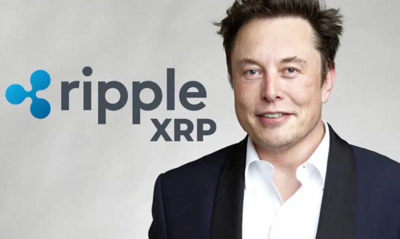 Elon Musk's AI Makes Bold Price Prediction