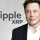 Elon Musk's AI Makes Bold Price Prediction