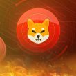 SHIB Burn Rate Explodes 10,786%