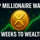 XRP Millionaire Wave Coming in Just 4 Weeks