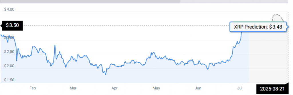 XRP STATS