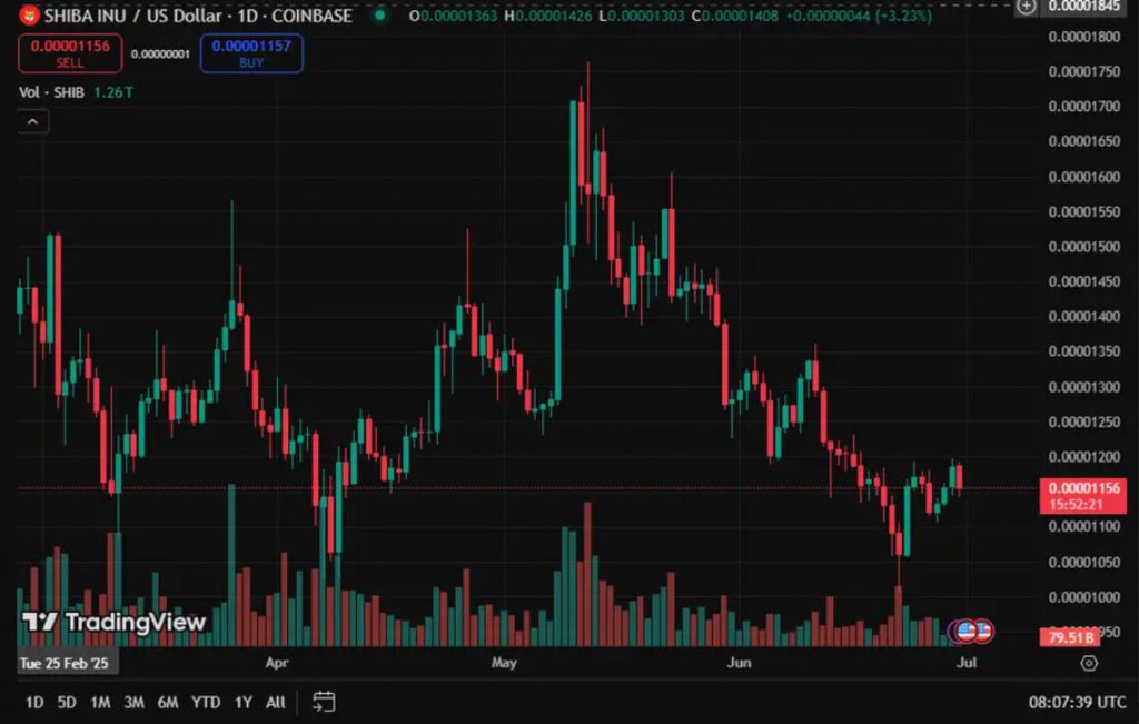 SHIB price chart with volume indicators