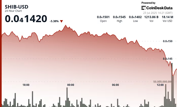 24-hour SHIB chart with volume data