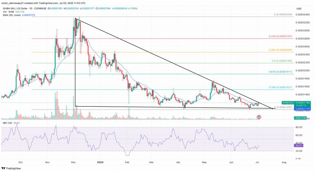 SHIB daily chart with Fibonacci retracement levels