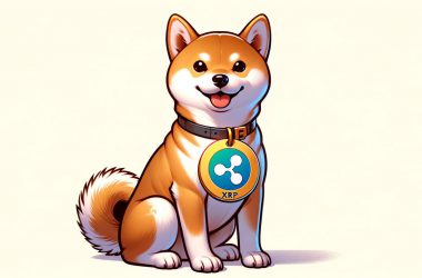 shiba inu with XRP