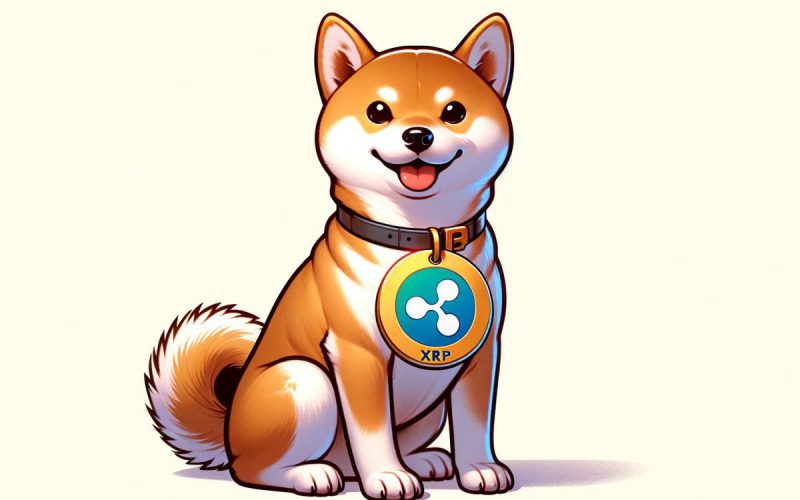 shiba inu with XRP