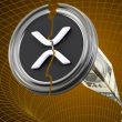 XRP Crash