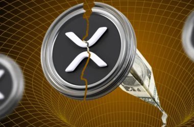 XRP Crash