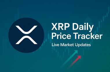 Track XRP Spot Price Daily