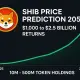 10M, 500M SHIB Could Be Worth $2.5B by 2050