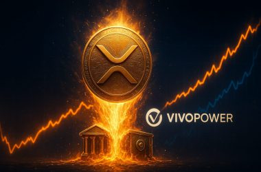 VivoPower Ripple shares and XRP investment