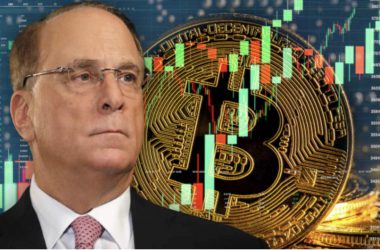 BlackRock CEO Bitcoin
