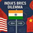 India BRICS Relations Wake-Up Call