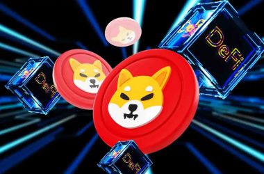 Shiba Inu ERC-20 Explained