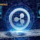 find mining xrp