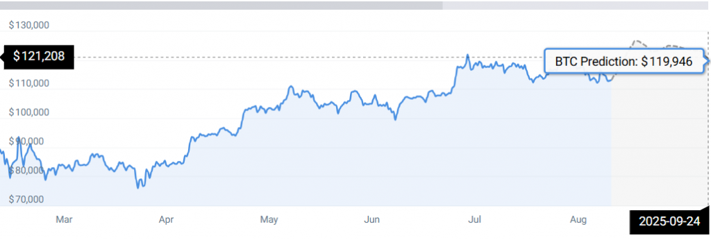 BTC DATA