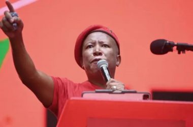 julius malema speech single african currency