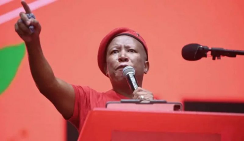 julius malema speech single african currency